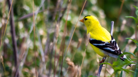 Do you know what impact your fertilizer has on our environment?