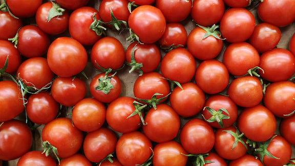 Growing Healthy Tomatoes!