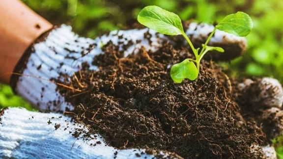Is Your Soil Alive?