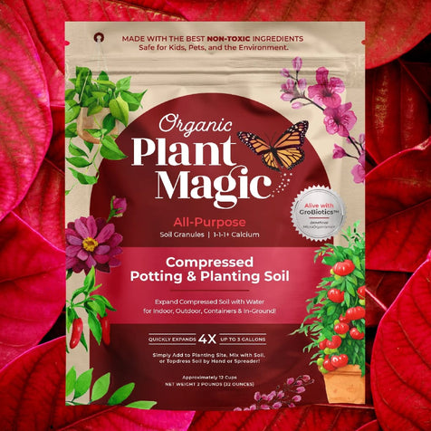 Compressed soil packaging with a red leaf background