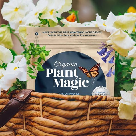 Soluble plant food packaging in a flower basket