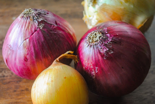 Can You Compost Onions?