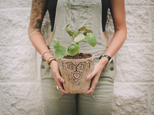 Does Potting Soil Go Bad: Essential Tips to Keep It Fresh