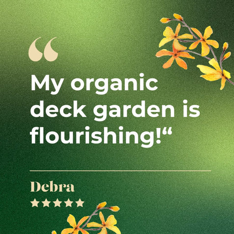 My organic deck garden is flourishing - Debra