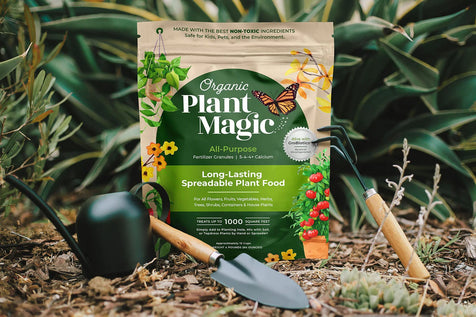 Bag of all purpose fertilizer granules with a leafy backdrop surrounded by gardening tools including a watering can, trowel, and fork.