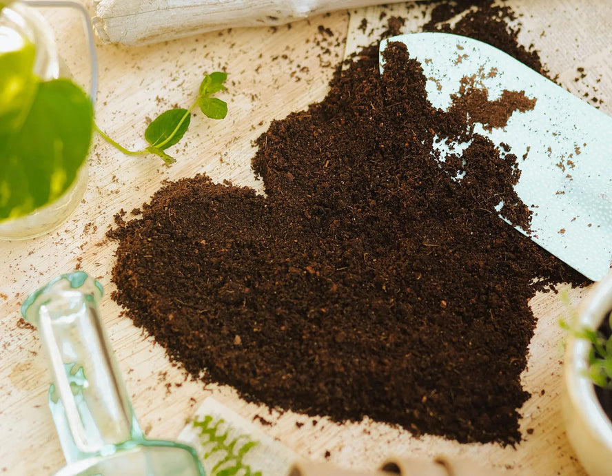Soil arranged on a table in the shape of a heart