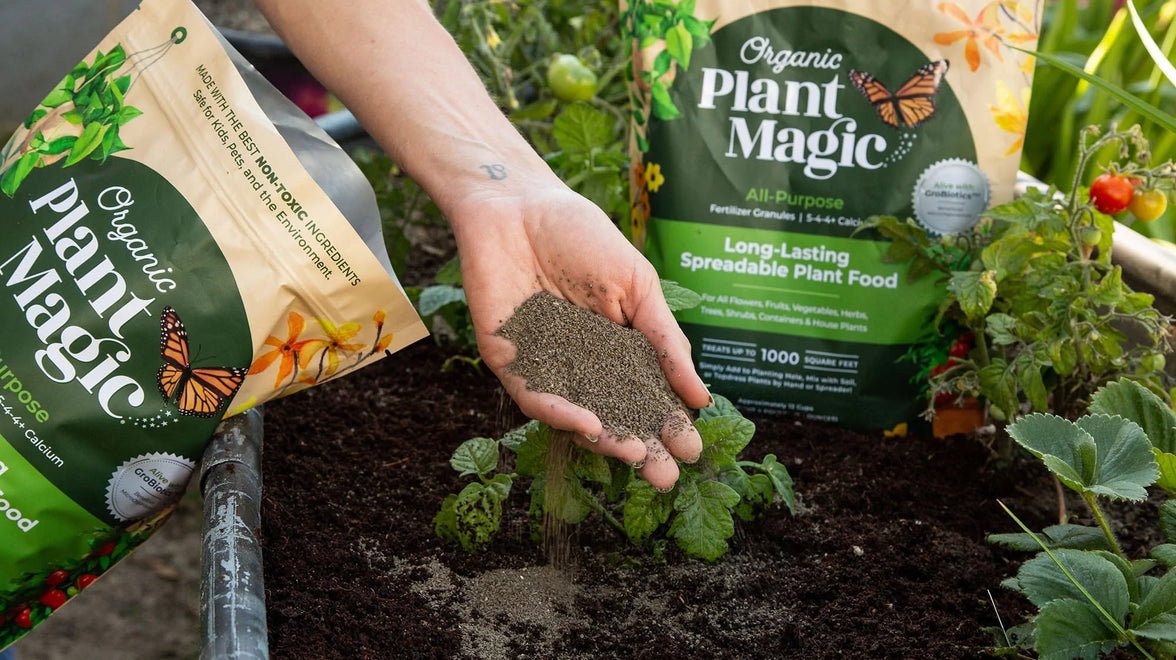 organic fertilizer for herbs
