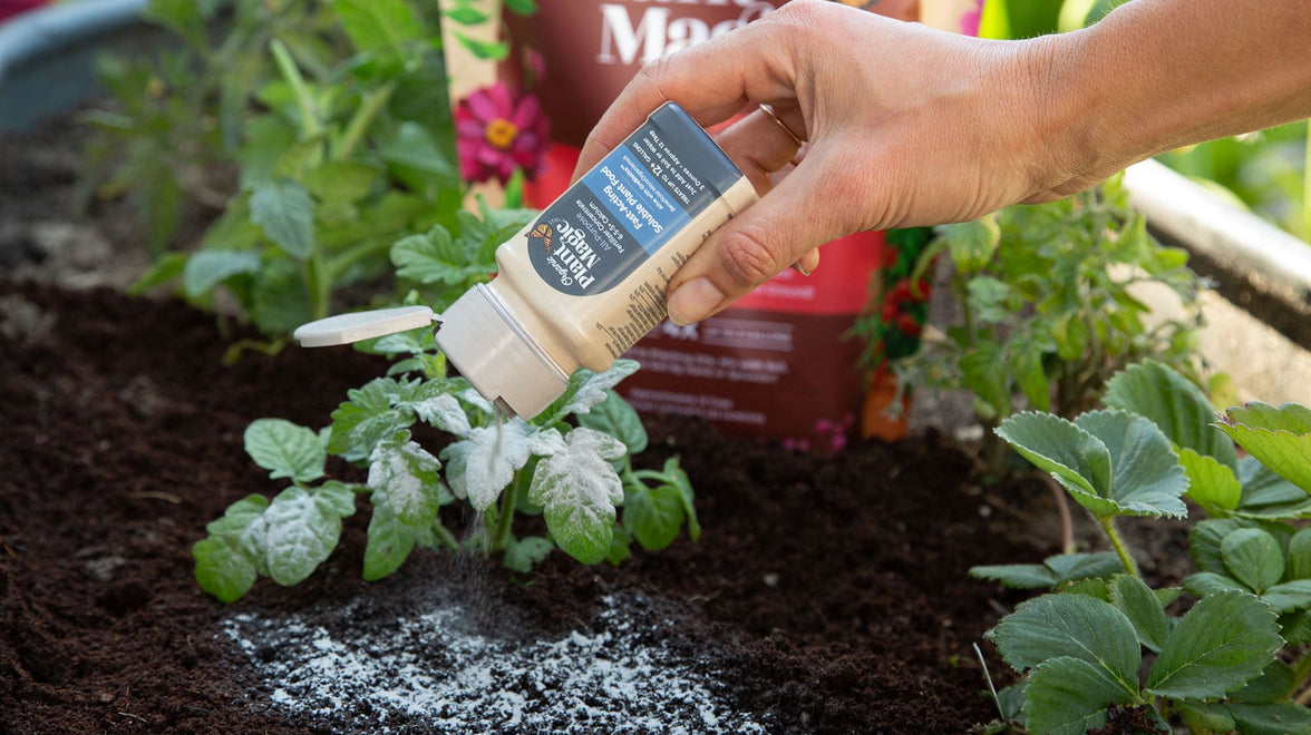 Magic shaker used to spread soluble plant food over fresh soil