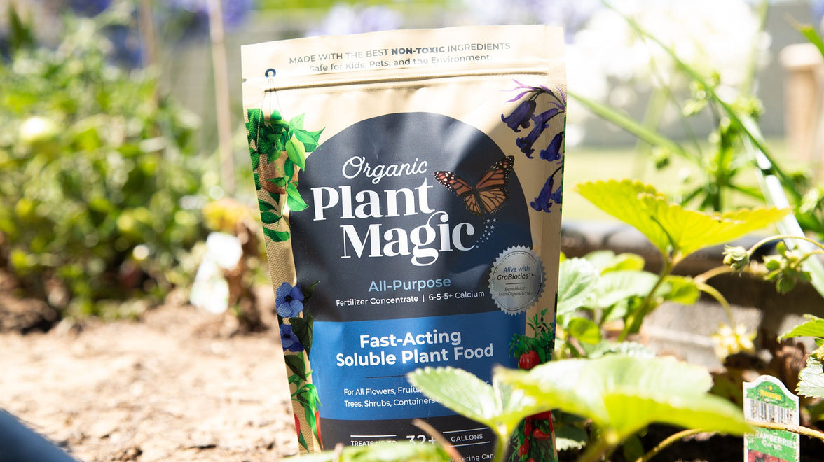 organic plant magic fertilizer Fast-Acting Soluble Plant Food