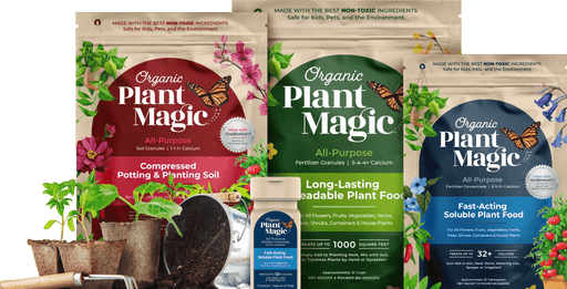 small plant fertilizer Fast-Acting Soluble Plant Food